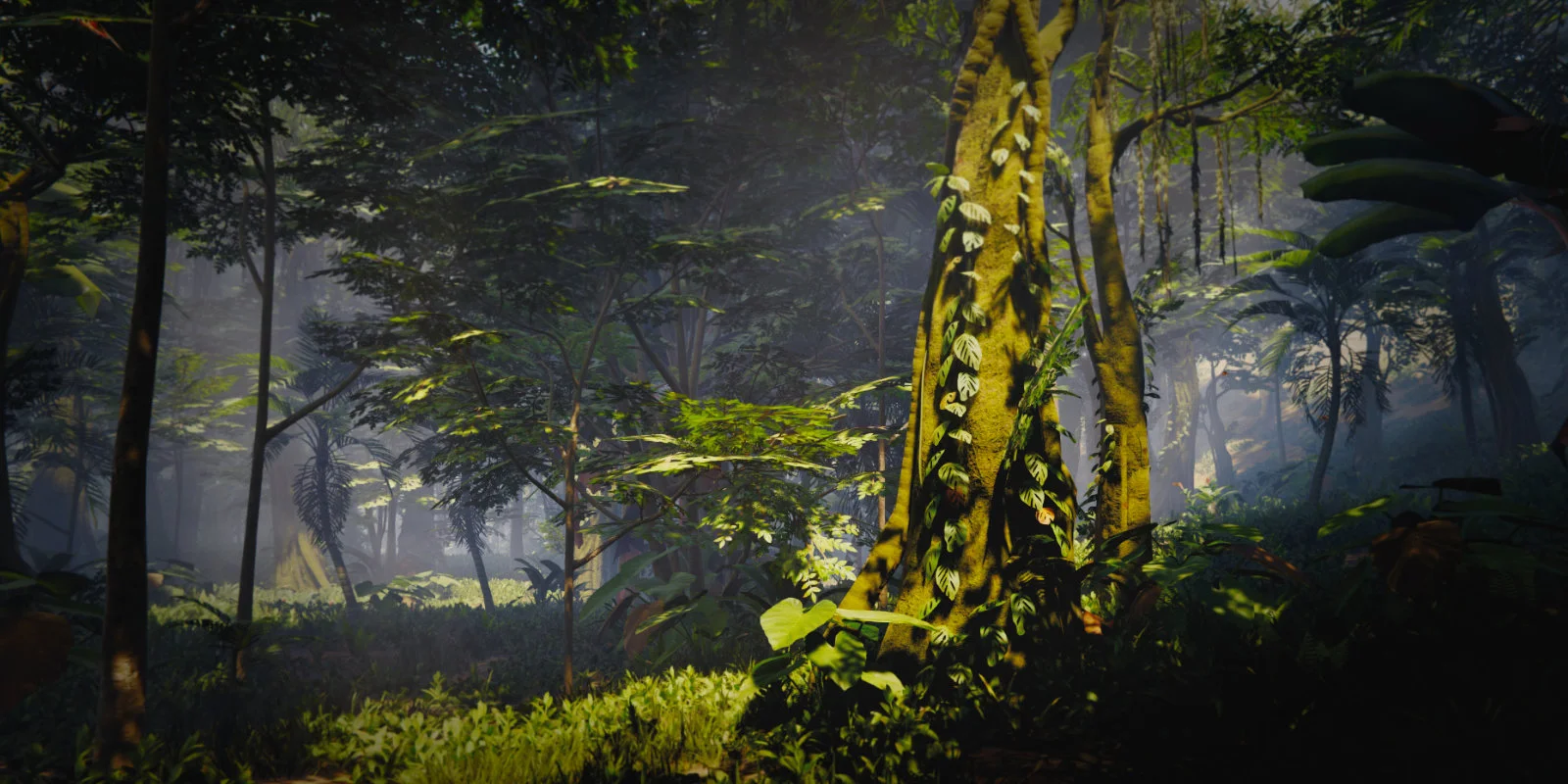 Dense tropical forest with palms, ferns and sunlight filtering through the canopy