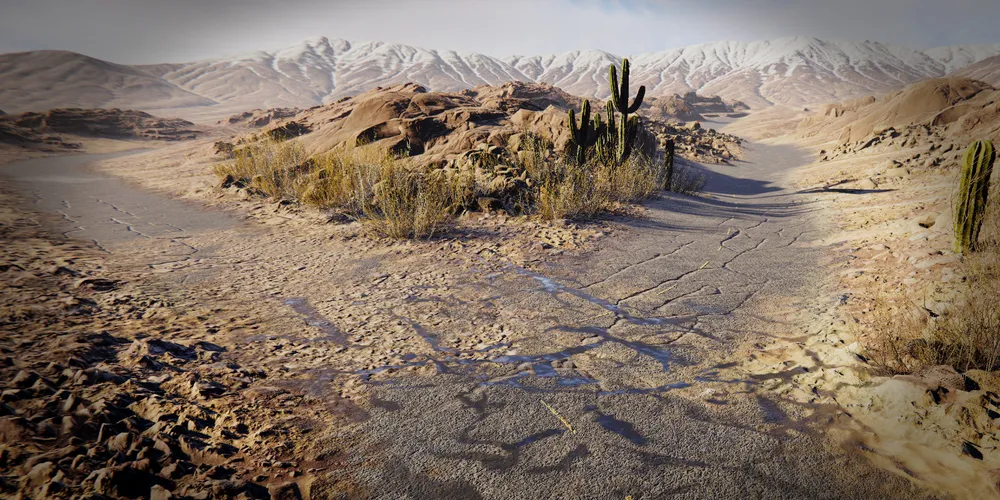 Sunlit desert terrain with cacti and distant mountain ridges