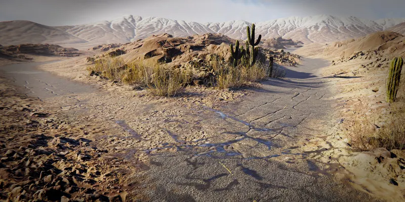Sunlit desert with cacti, rocky ground, and distant mountains