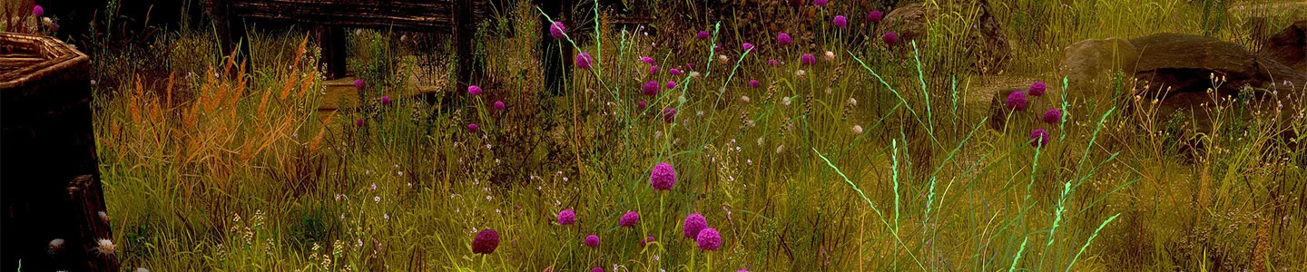 Wildflowers, grasses and fallen wood in a detailed woodland scene.